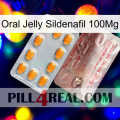 Oral Jelly Sildenafil 100Mg new13